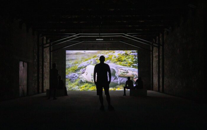 368511481_209585351806622_7452658029636723041_n